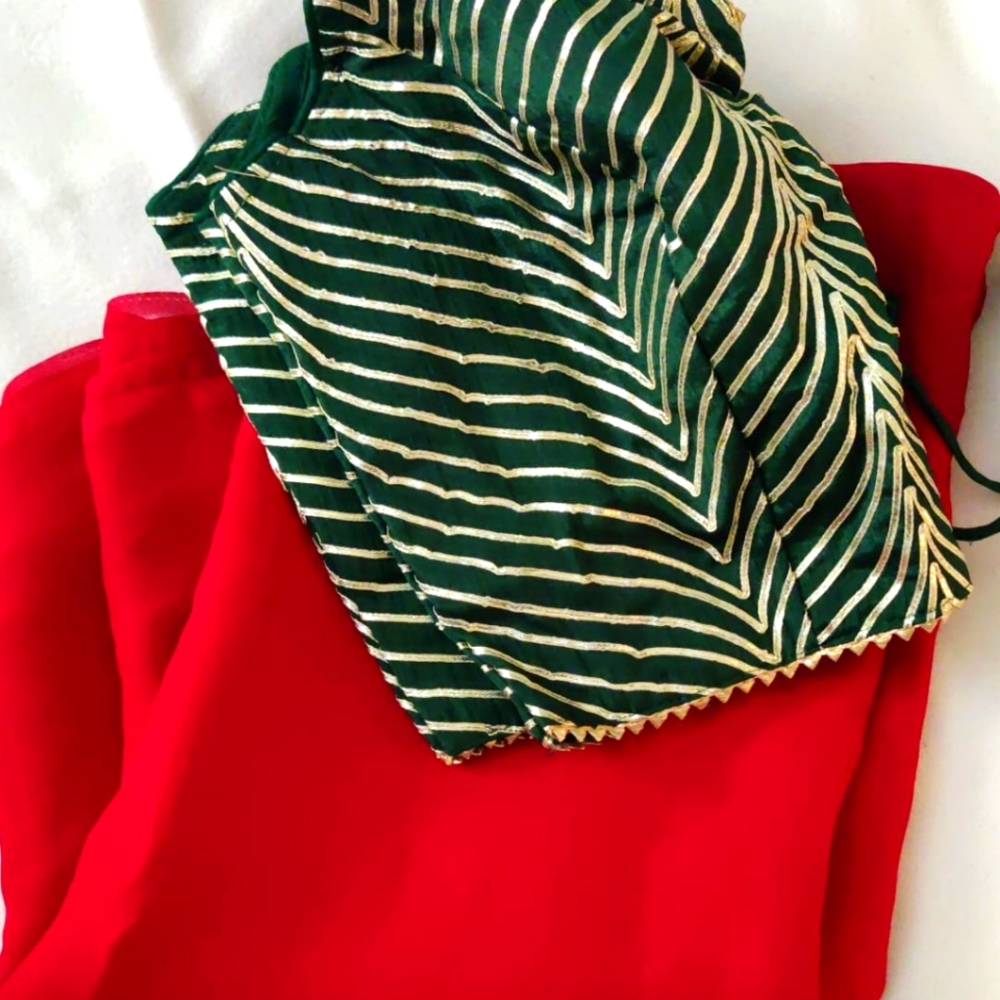 Brand new saree set